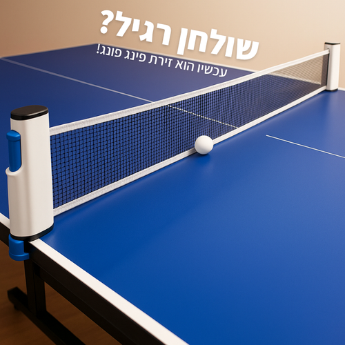 רשת פינג פונג ניידת